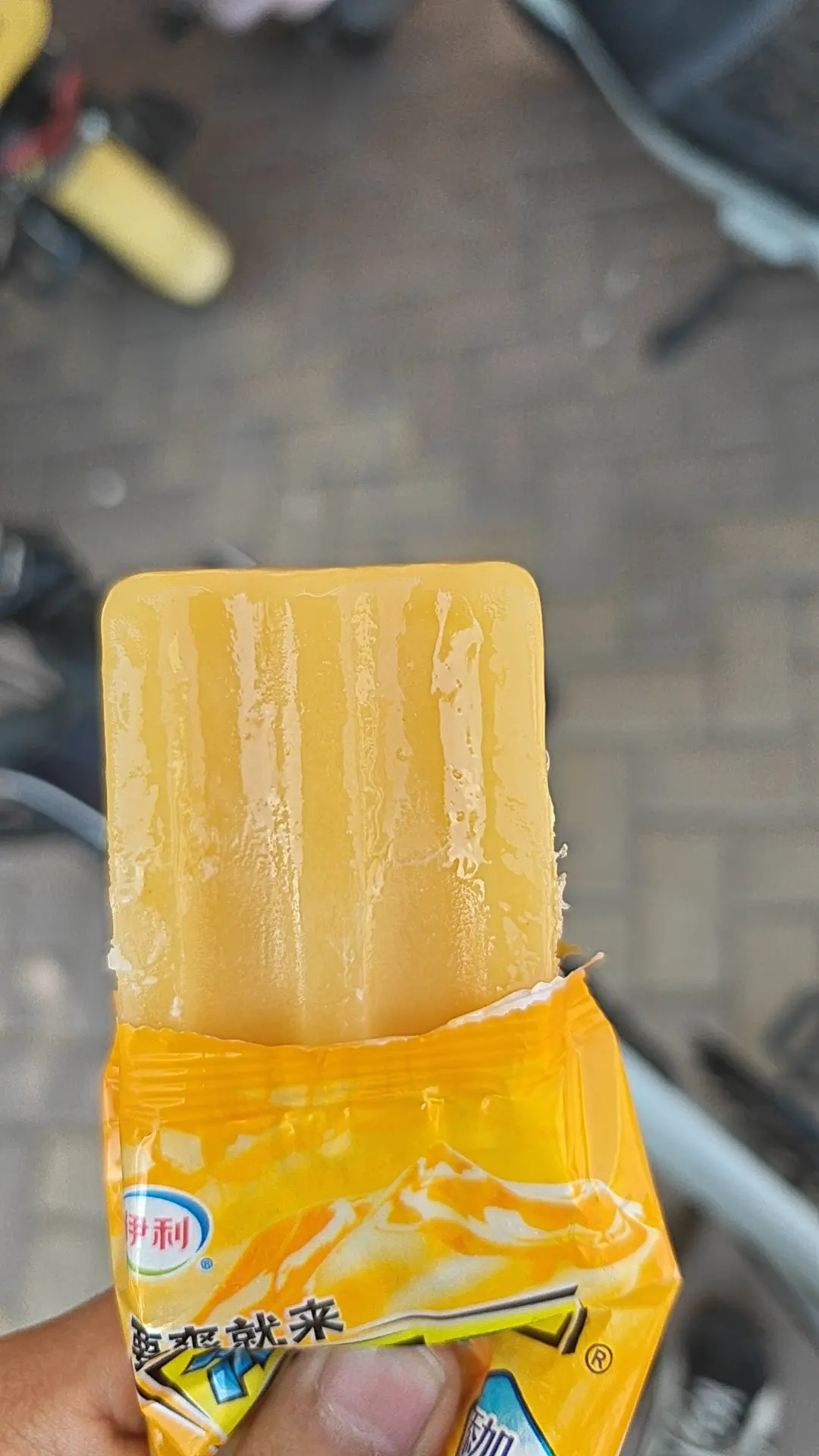 1000021428-0b47f35a93b6.webp