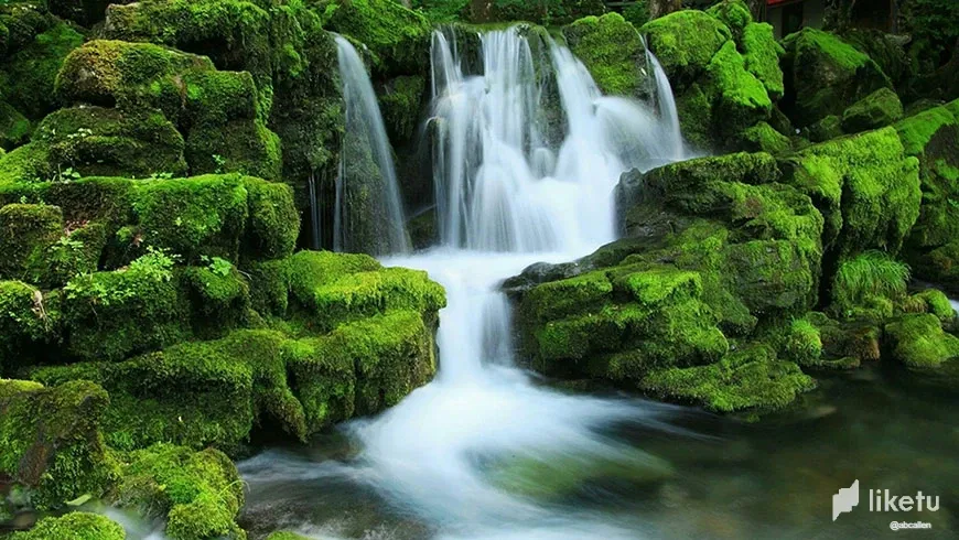 FKnOaaupDuqksDZ0_18.webp