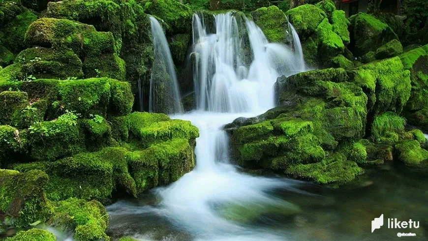 LG3IBfQeBVPrYhjF_18.webp