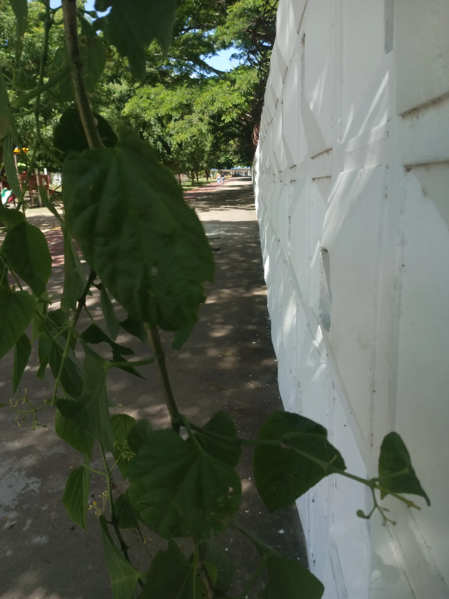 QJURZ1iIxjNtLFk4_IMG_20250715_100049_849.webp