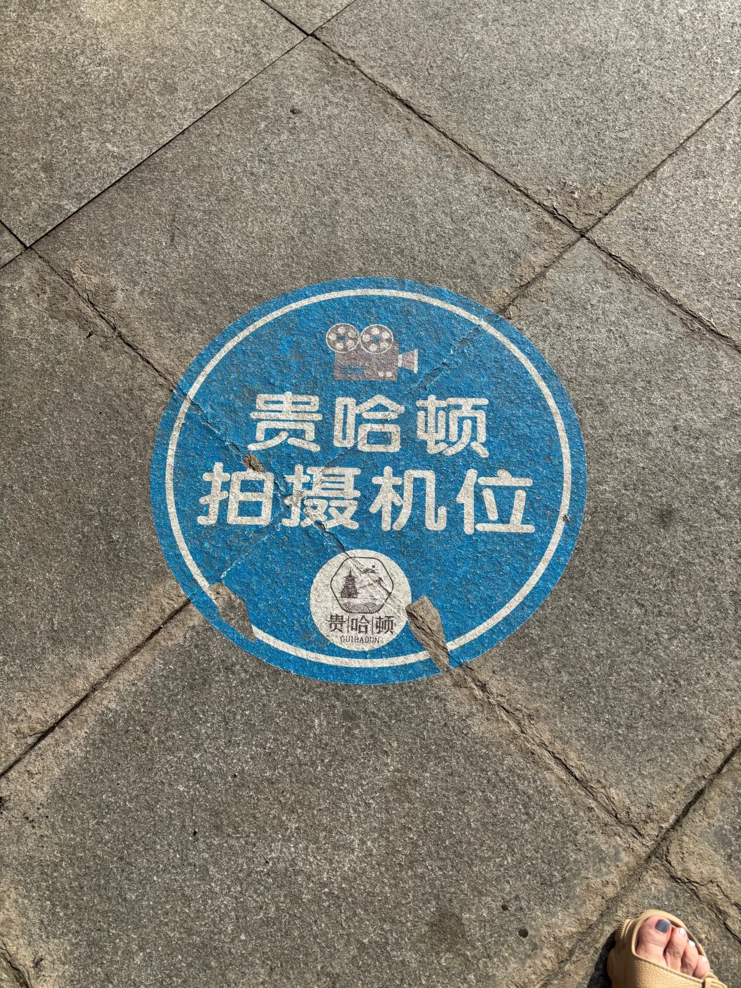 2Ma8TPCylvOwDu4A_IMG_4254.png