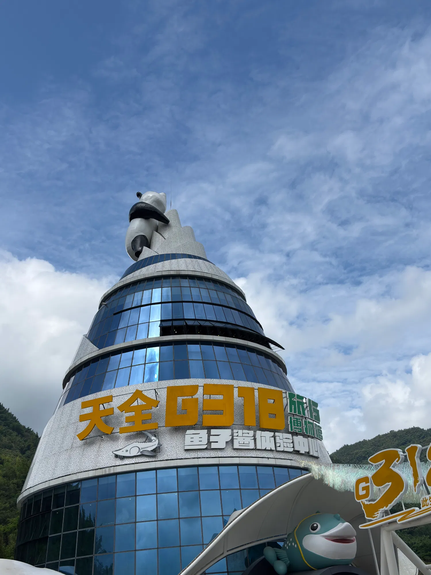 C8A49xoFykODNaZT_IMG_5242.png