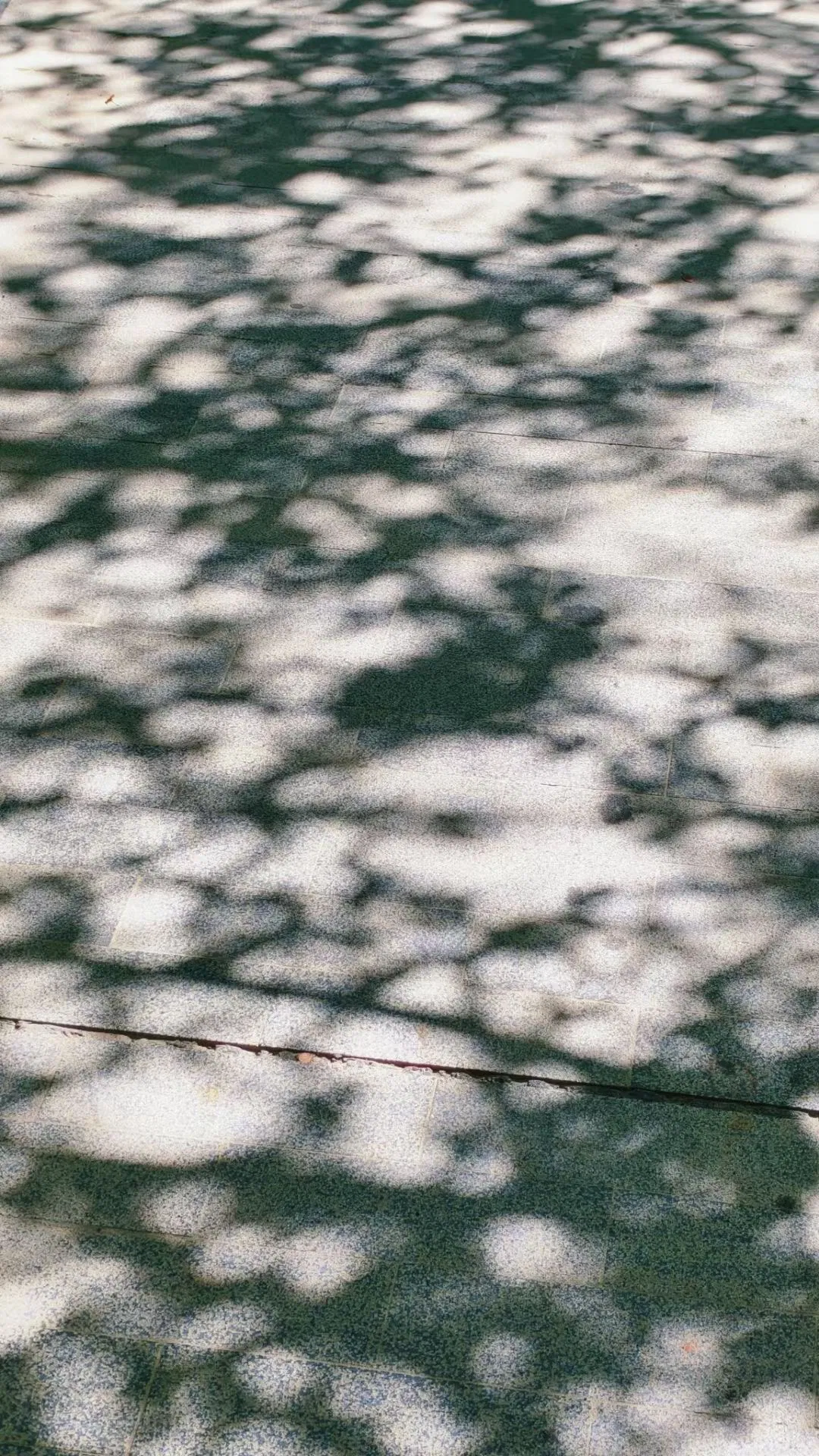 ZTUO9iakgW2l0WTv_5483c18bb3a84fc0e601f90e9bd71ef2.png