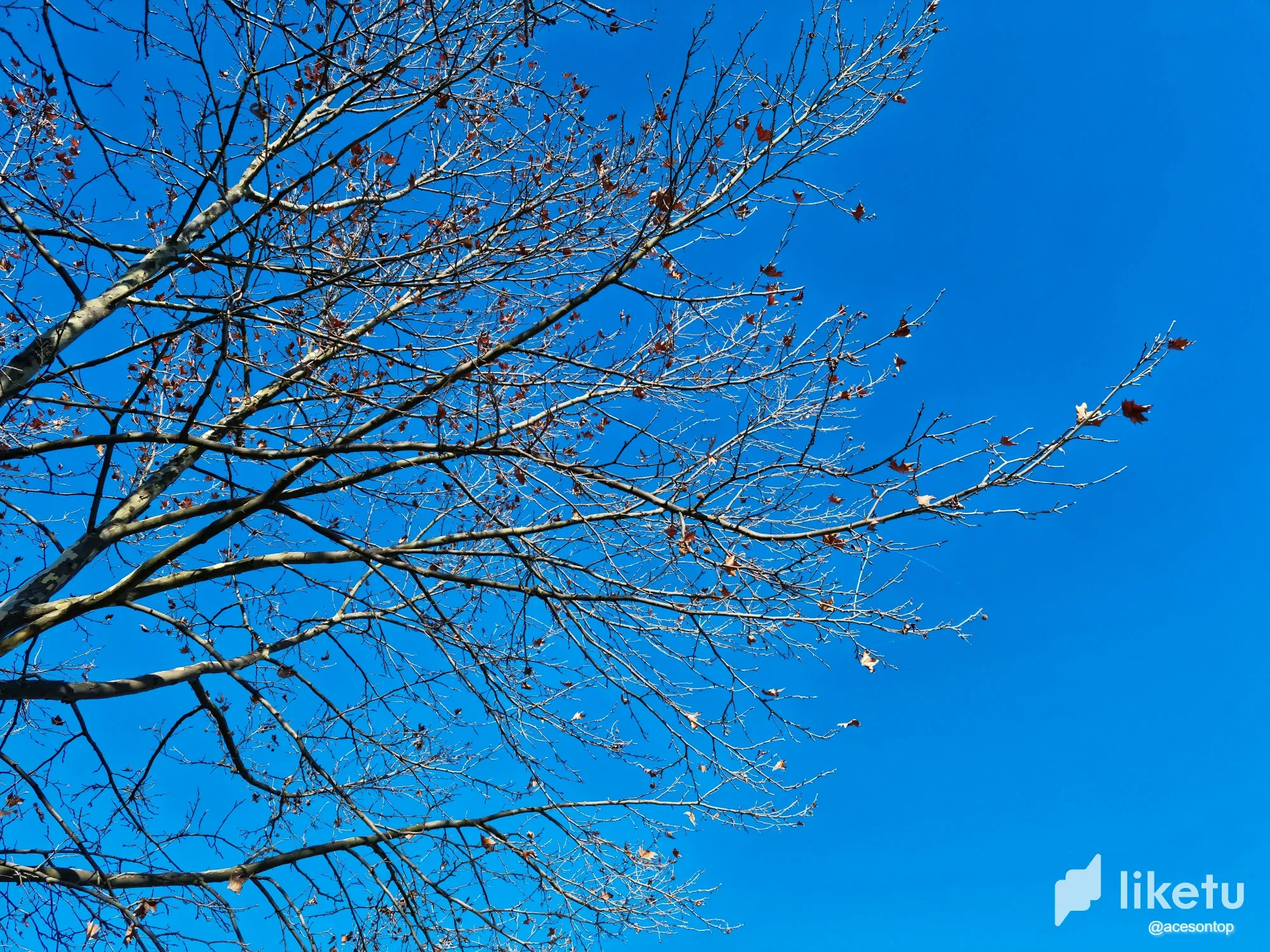 clcgar0fs000k4iszhwkdhi2c_20230103_124518-01.webp