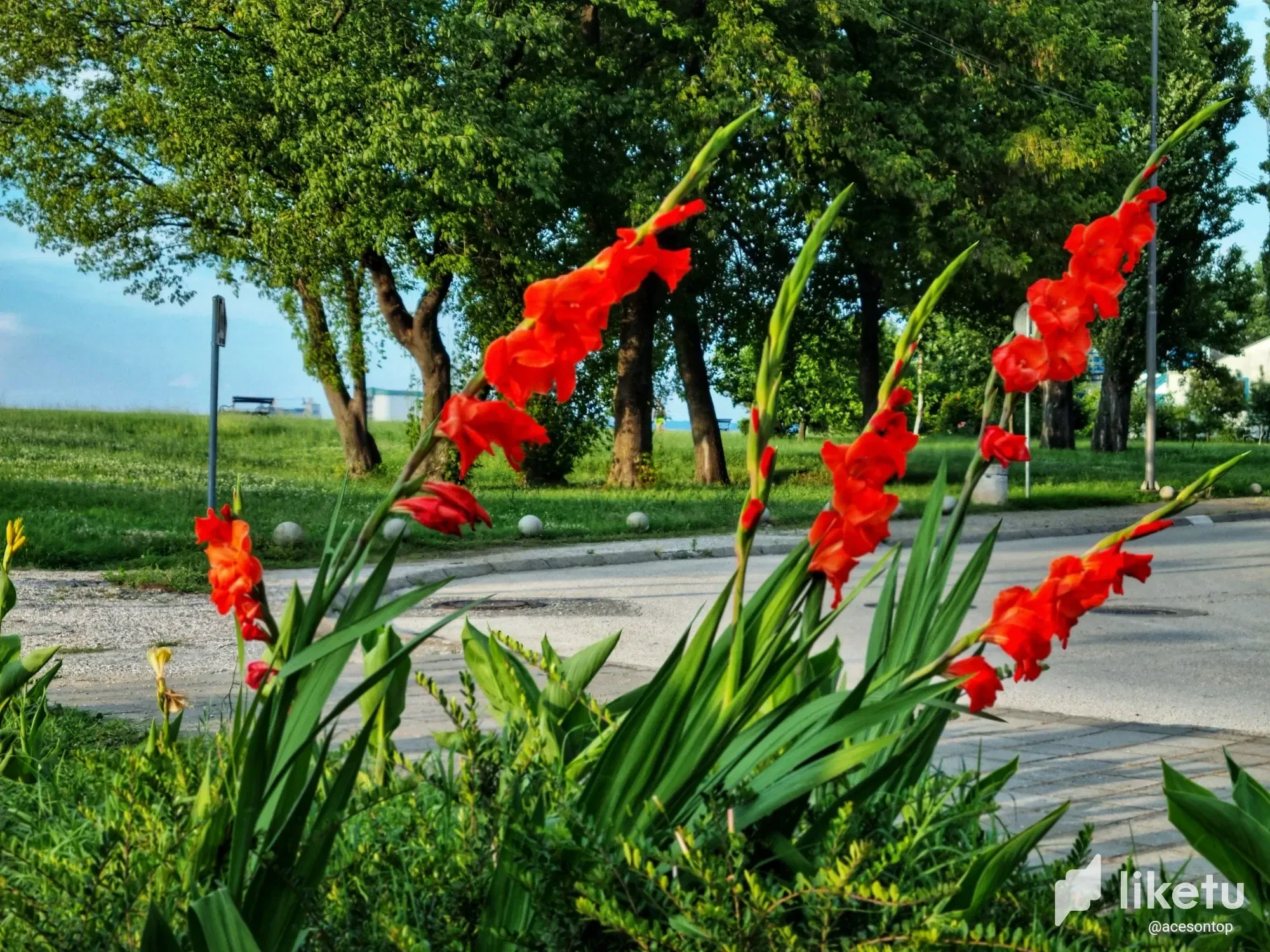 cljlt24bc01d20xszf3jp2re7_20230702_195937-01.webp