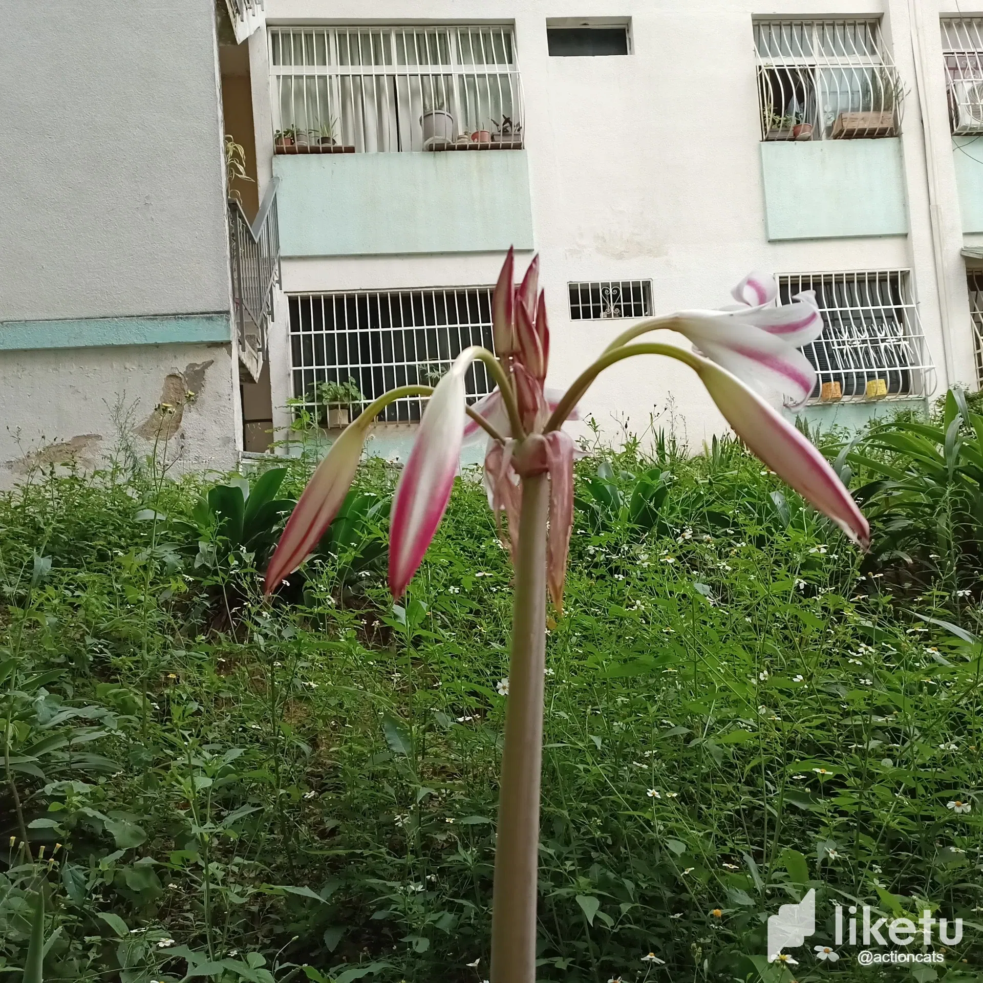 clk2sw0yl02tr0psz0rin3biq_thumbnail_IMG_20230714_085156_415.webp