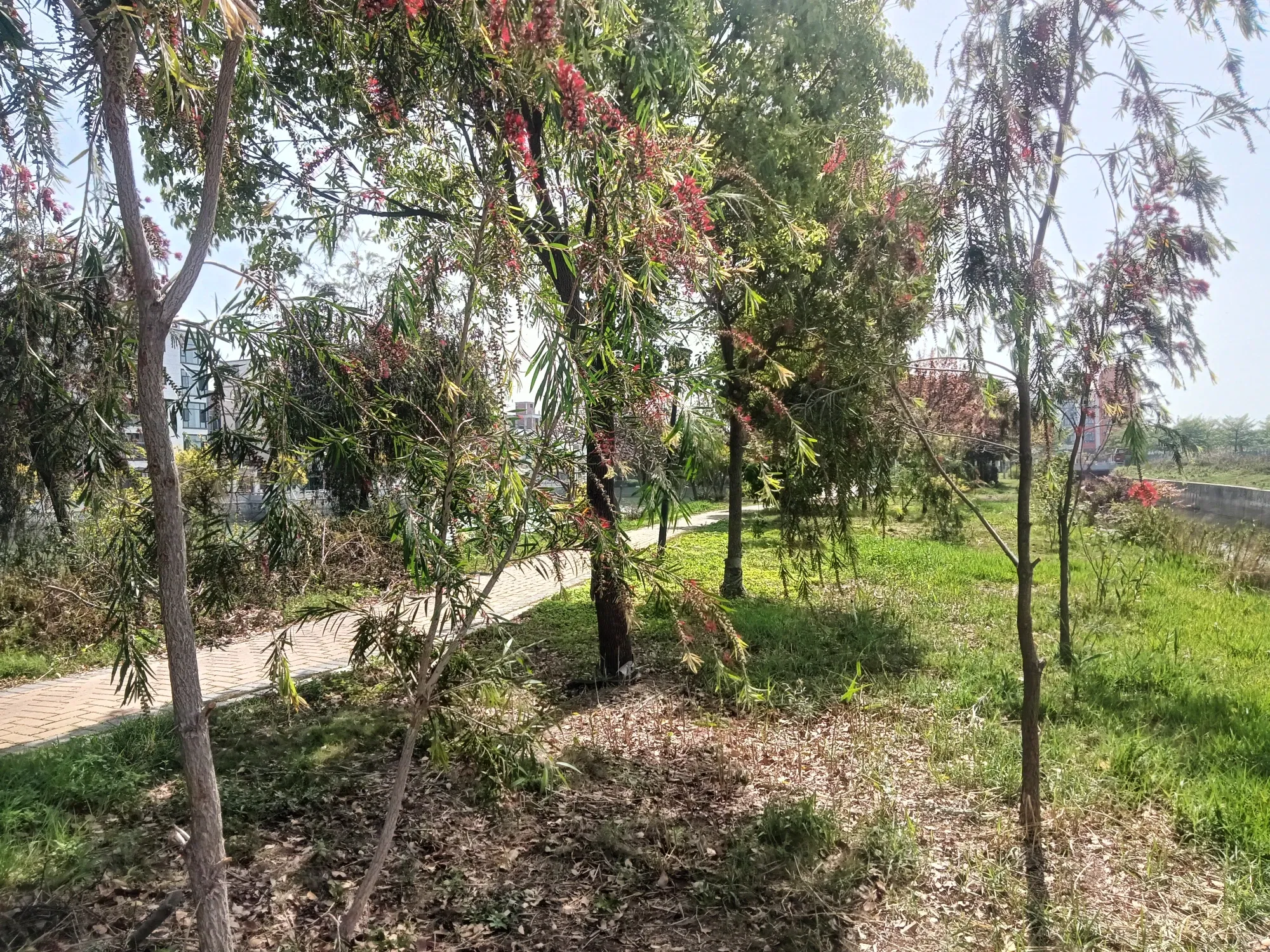 9aKA9eKvzNliNjvs_IMG20250415094316.webp
