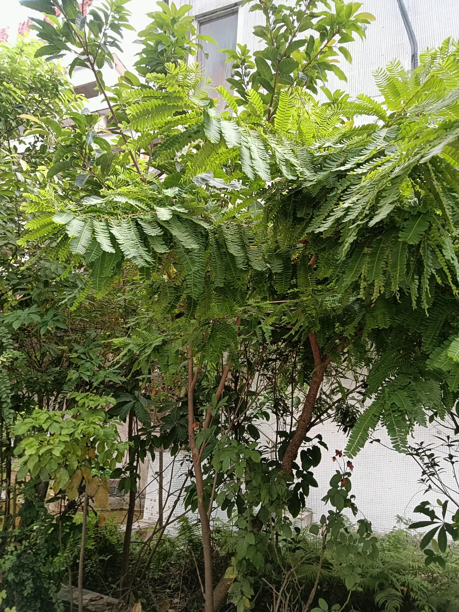 9cqQMcwwDidRmsDt_IMG20250903174547.webp