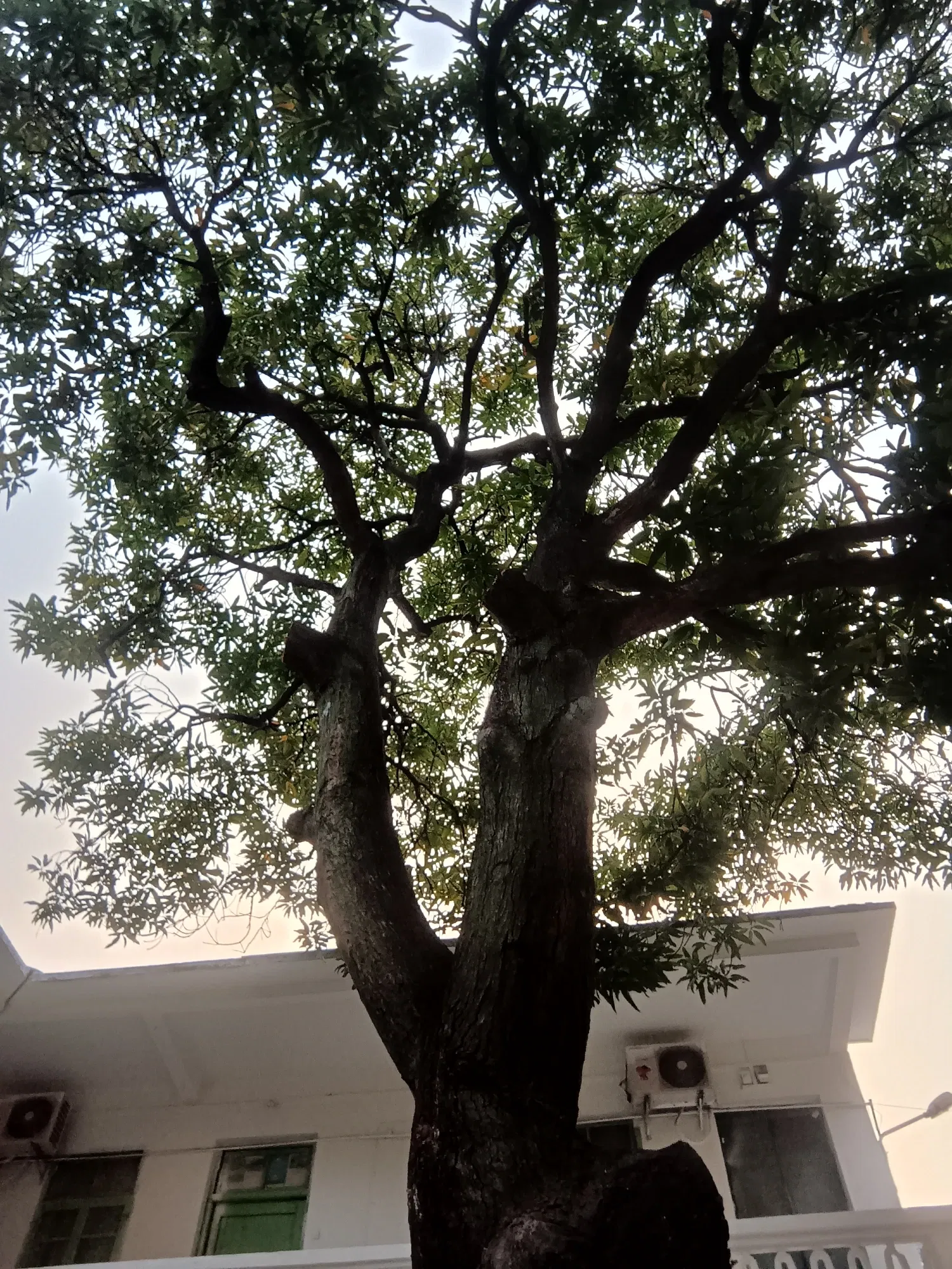 P5Z5gwzqIMP2XHoo_IMG20250904181146.webp