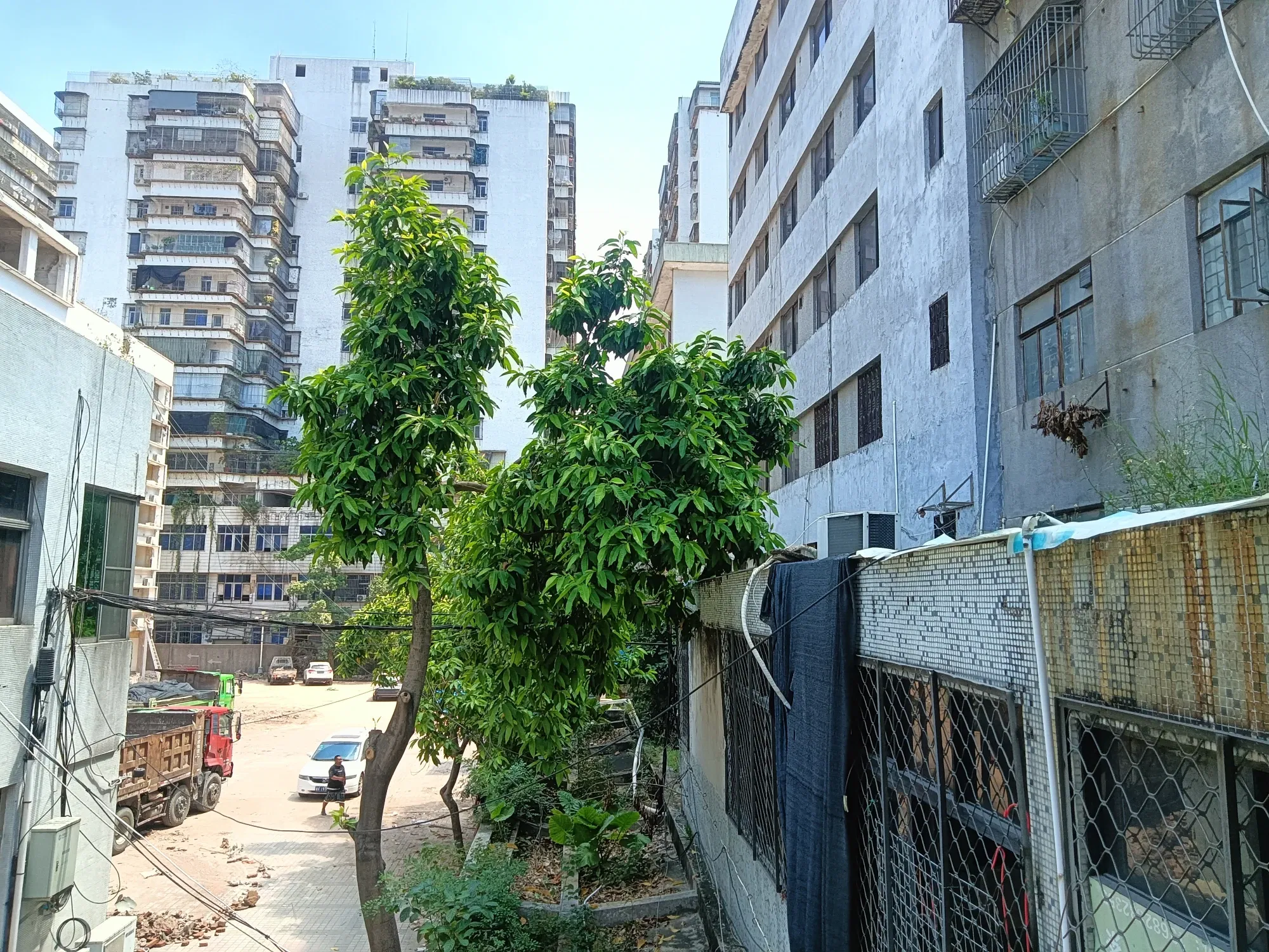 YZO4vVEnhMaVgcSQ_IMG20250916113430.webp