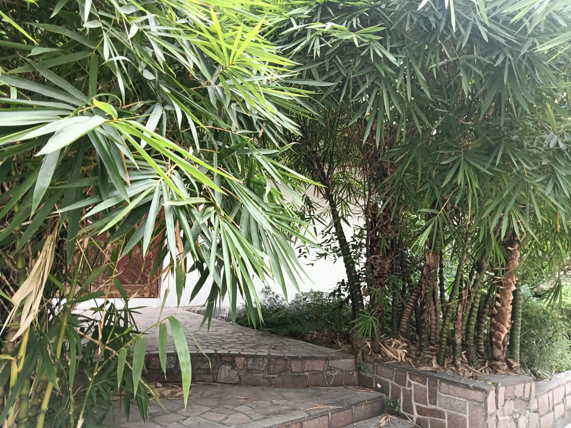 cOUKraUi5rbxG9hM_IMG20250903174526.webp