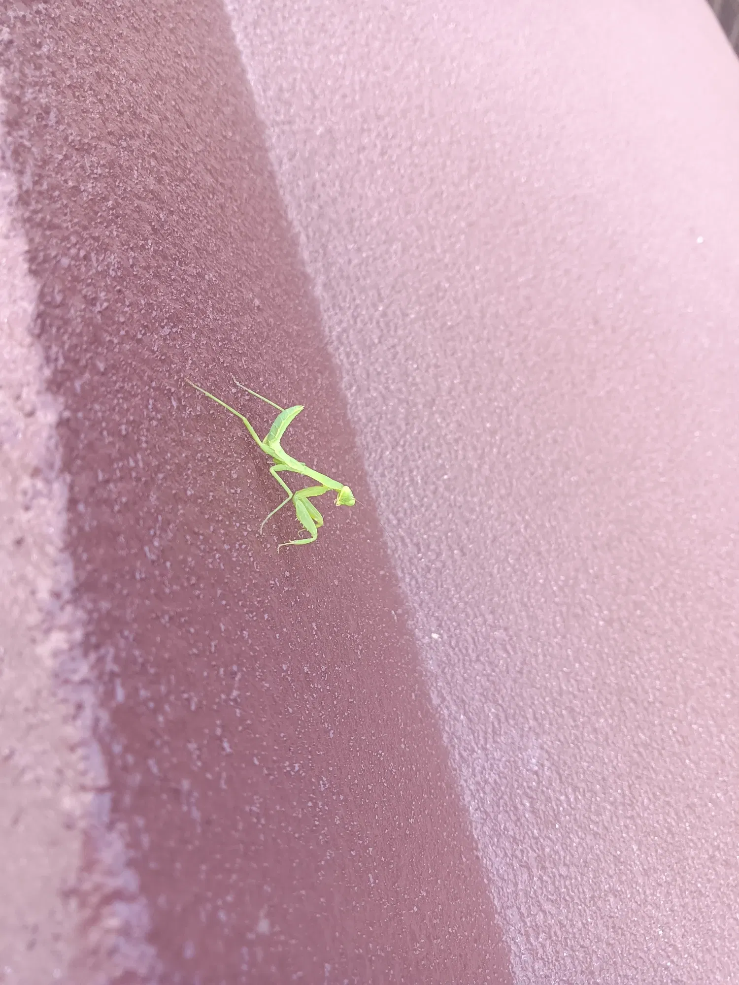 hVbQqGEkHtbdHMRB_IMG20251001104312.webp