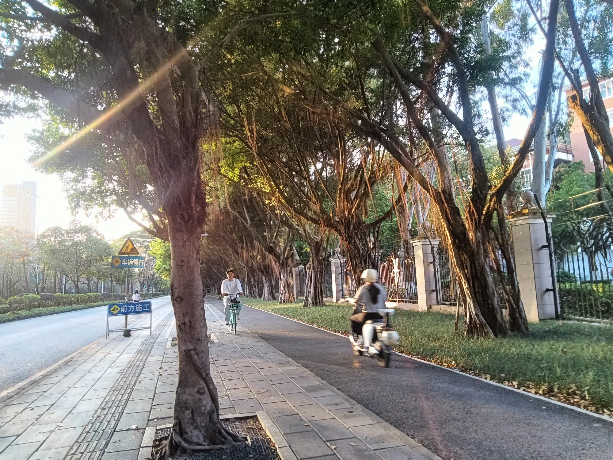 hrqxCJ8xV5PtIzWh_IMG20250312175324.webp