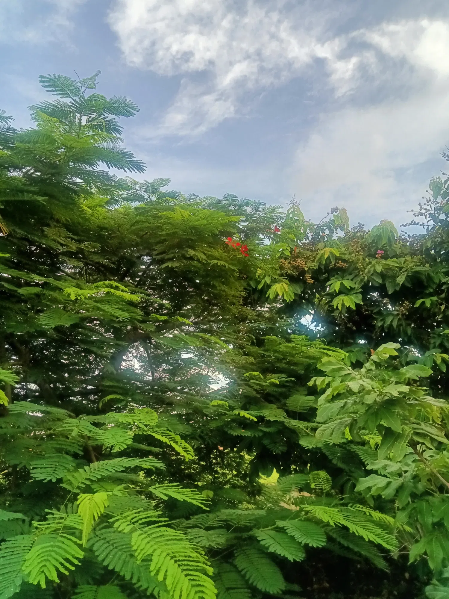 oDIjYUmiGBfCII14_IMG20250918165714.webp