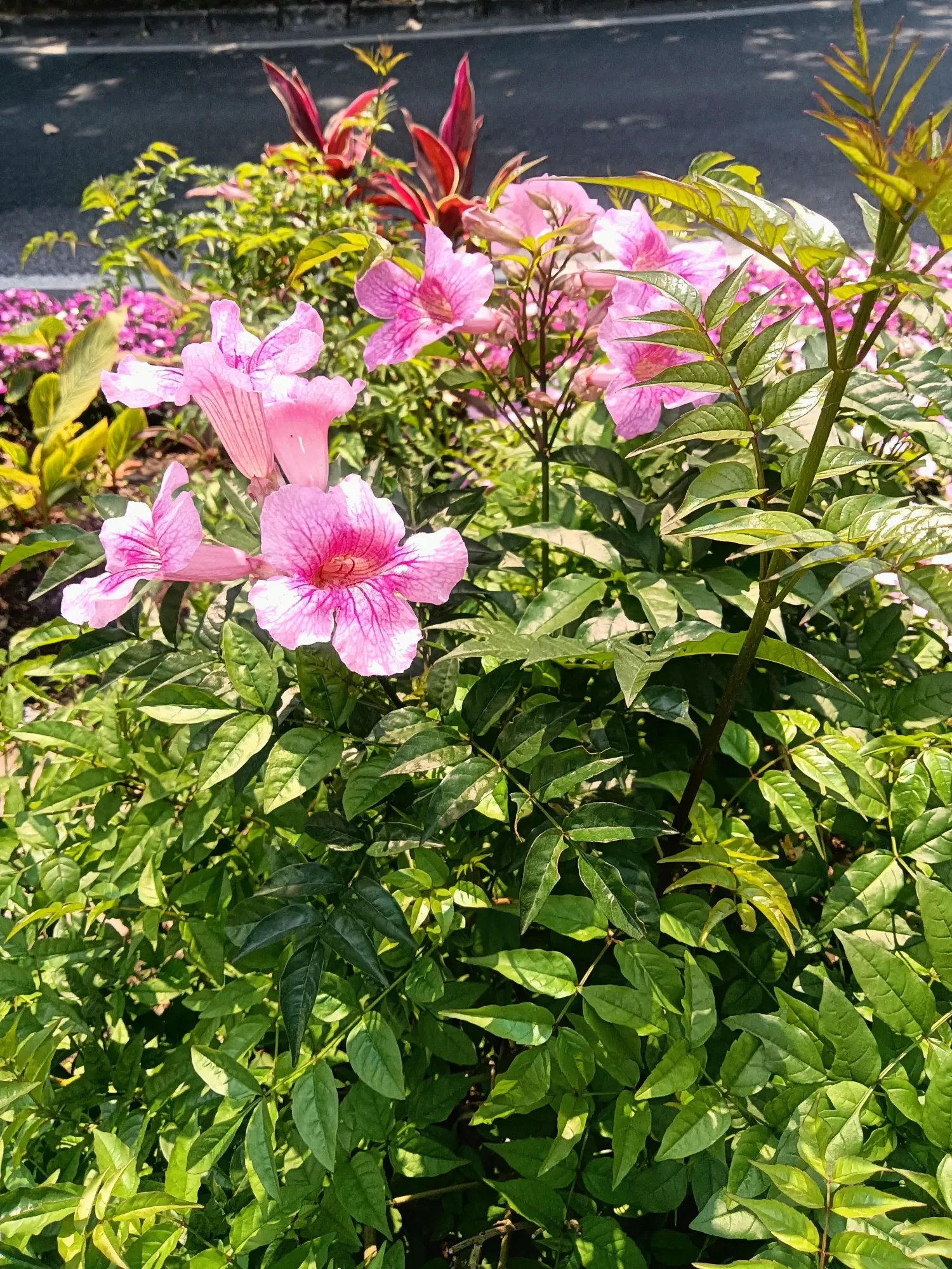 okaX9hICXCeurdEE_IMG20250324112151.webp