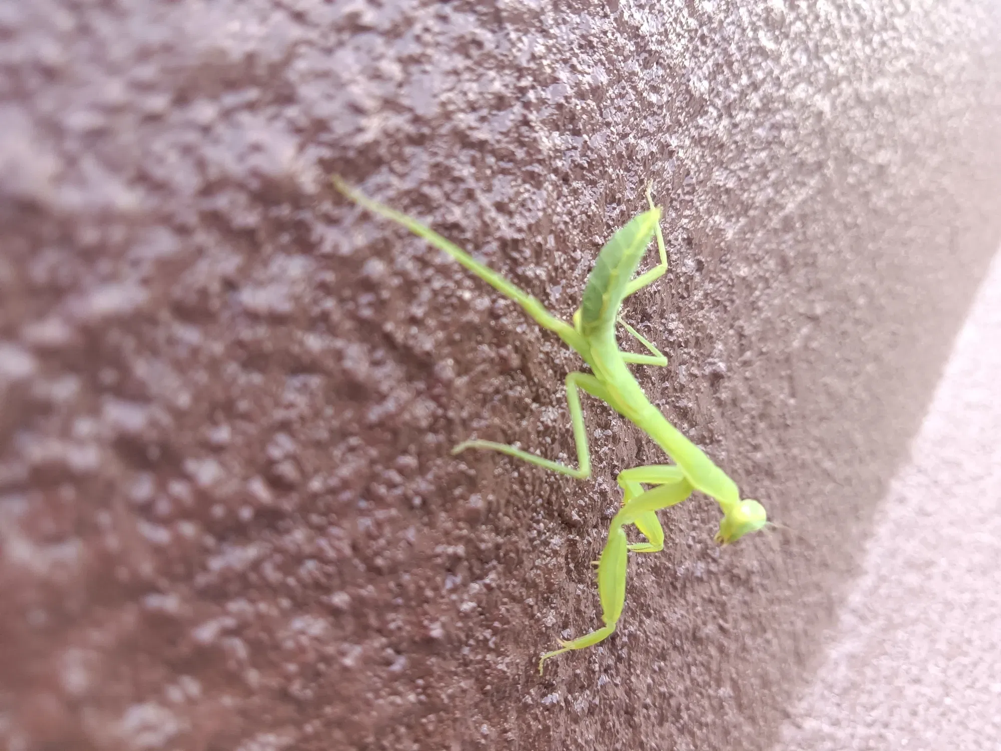 t2C47s6iHVjNsKOl_IMG20251001104321.webp