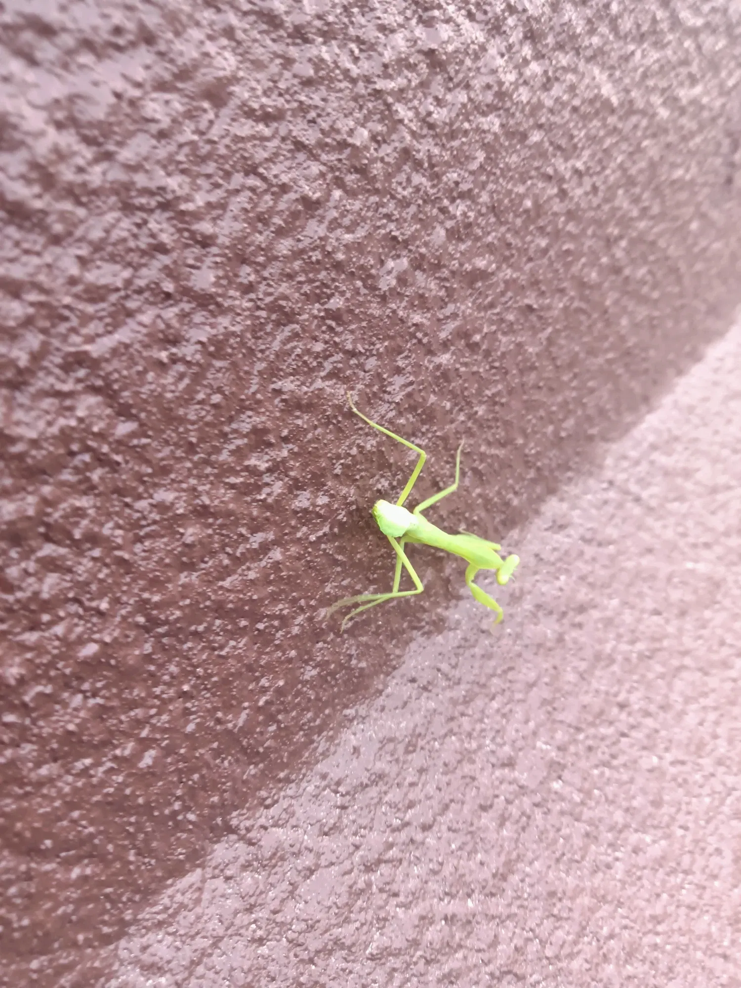 y8H2XiyMJ4t32u3x_IMG20251001104329.webp