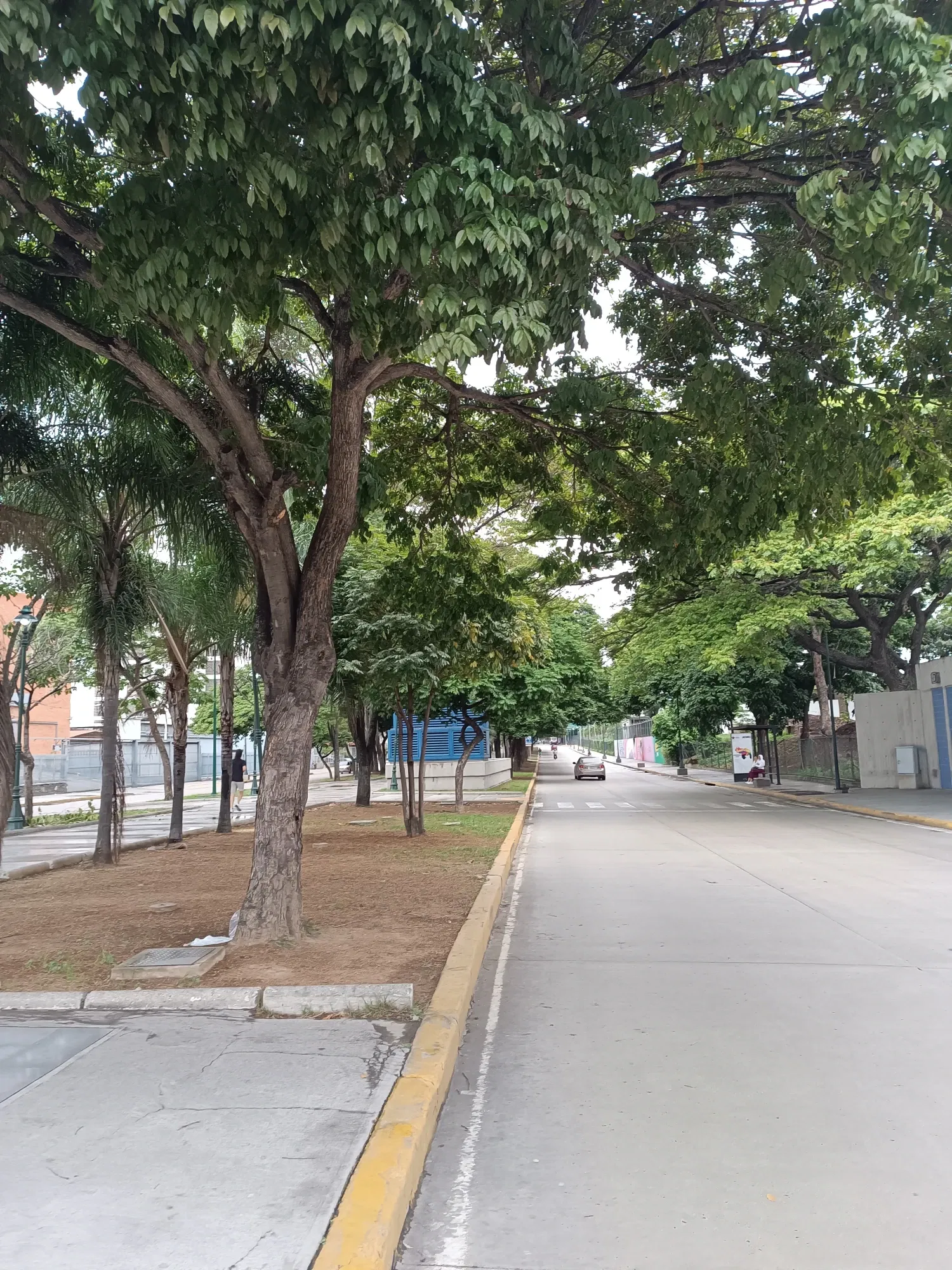igfmLn9tnQg4F6f0_1000259811.webp