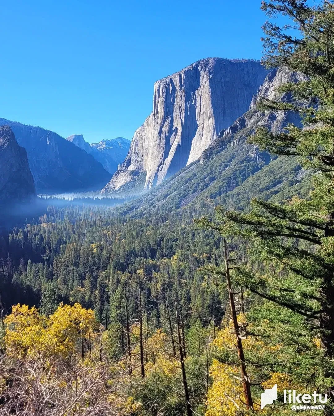 🌲 Into the Wild: The Epic Majesty of the American West