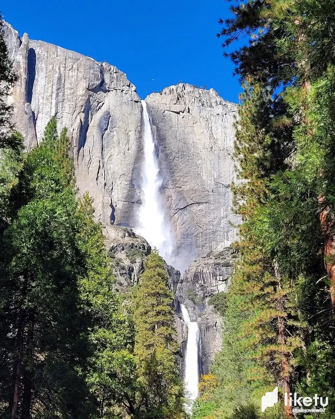 🌲 Into the Wild: The Epic Majesty of the American West