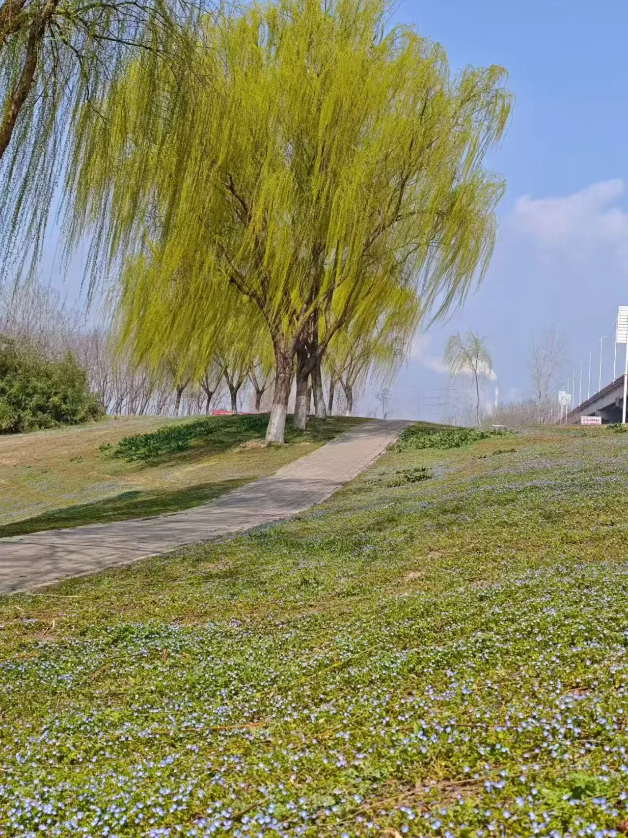 尝试养虾 -- 安装OpenClaw