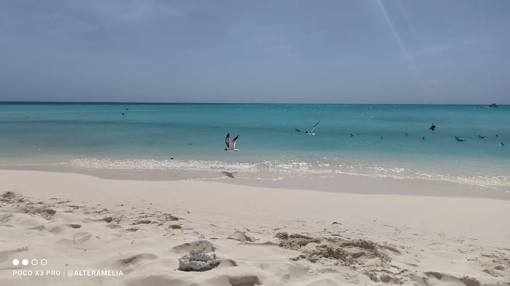 5Xcfh4EpBxQNAnbH_1000416695.webp