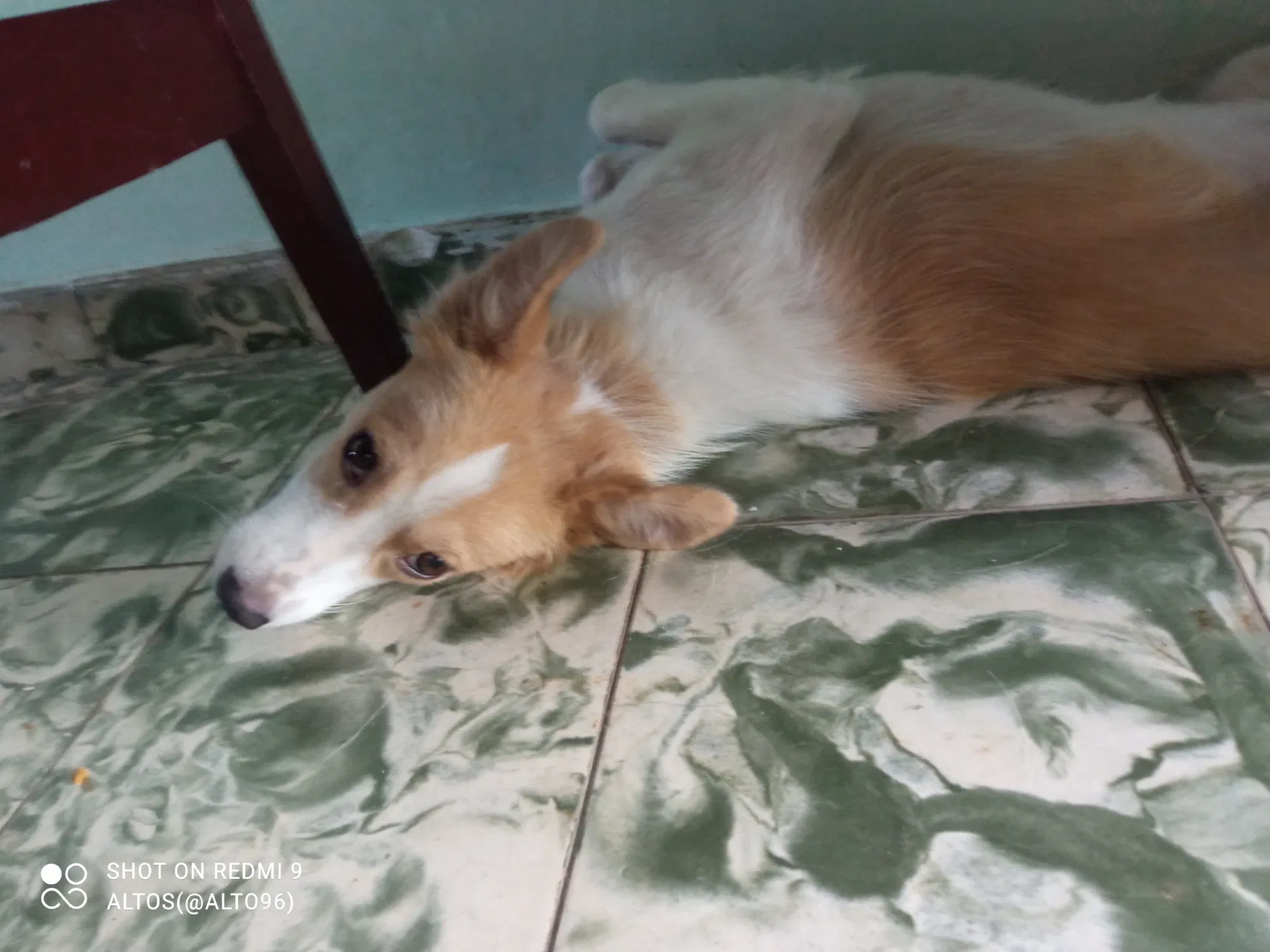 7ElzzQuQ6hCSfmPB_IMG_20250728_113240.webp