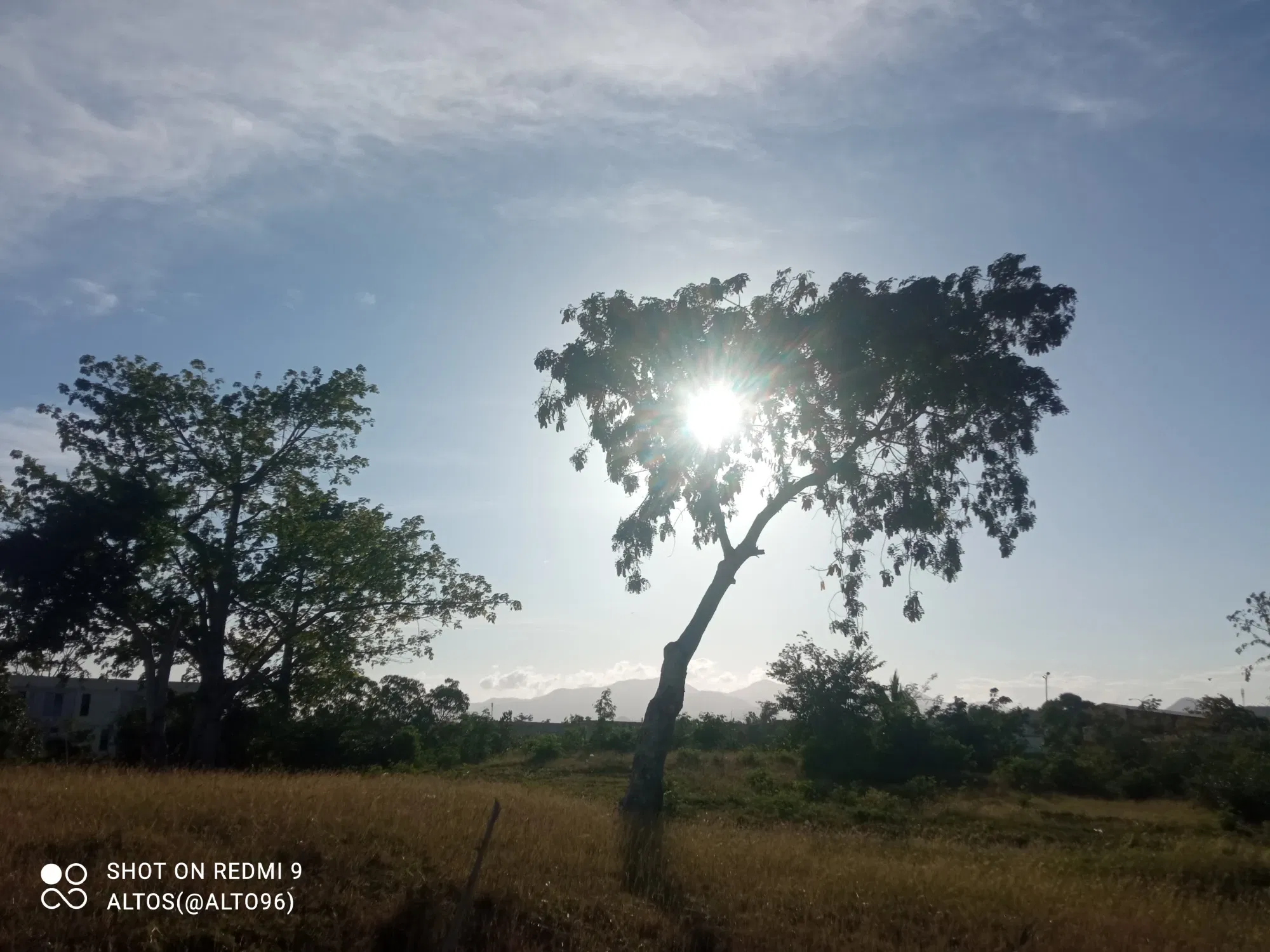 One shot to say: goodbye day