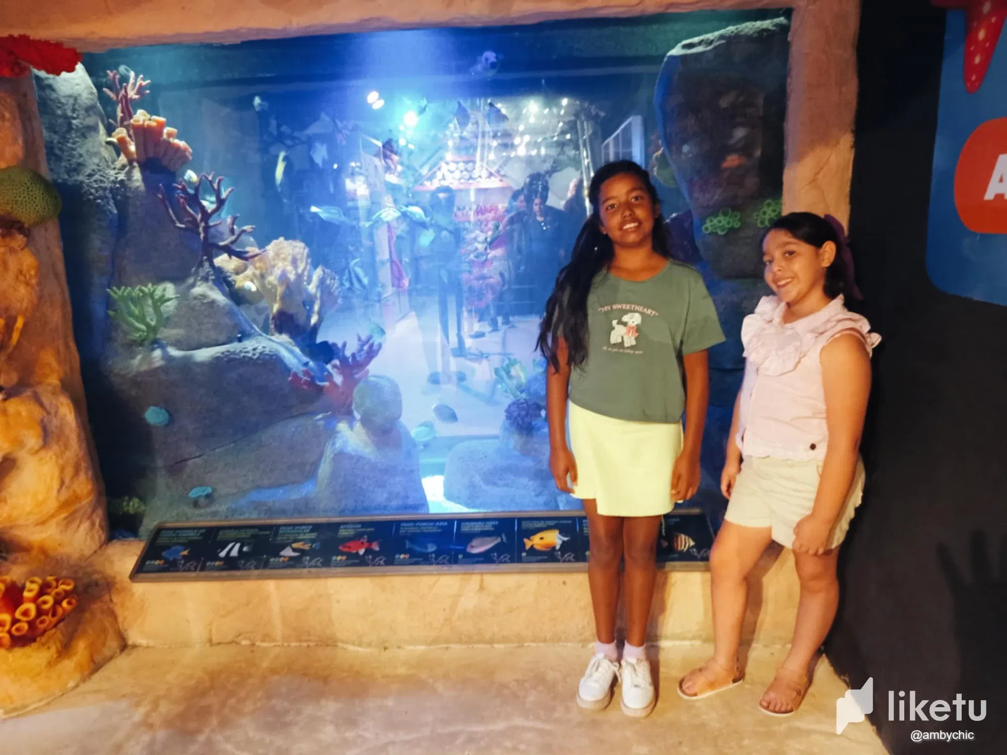 AN AQUATIC ADVENTURE IN THE AQUARIUM Last part / UNA AVENTURA AQUATICA EN EL ACUARIO  última parte