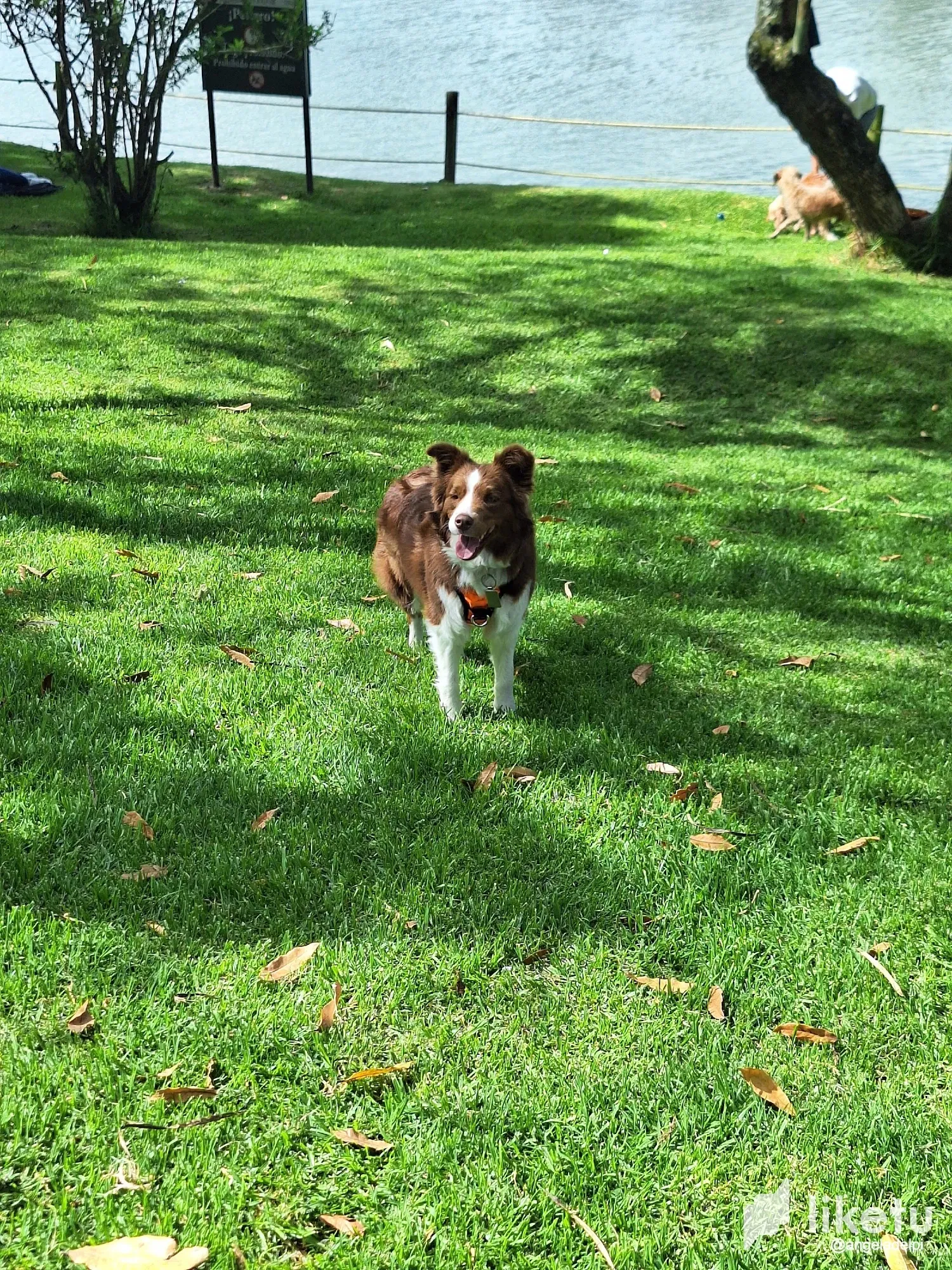 nVcnxBg0jH8Xn9wM_1717720328805.webp