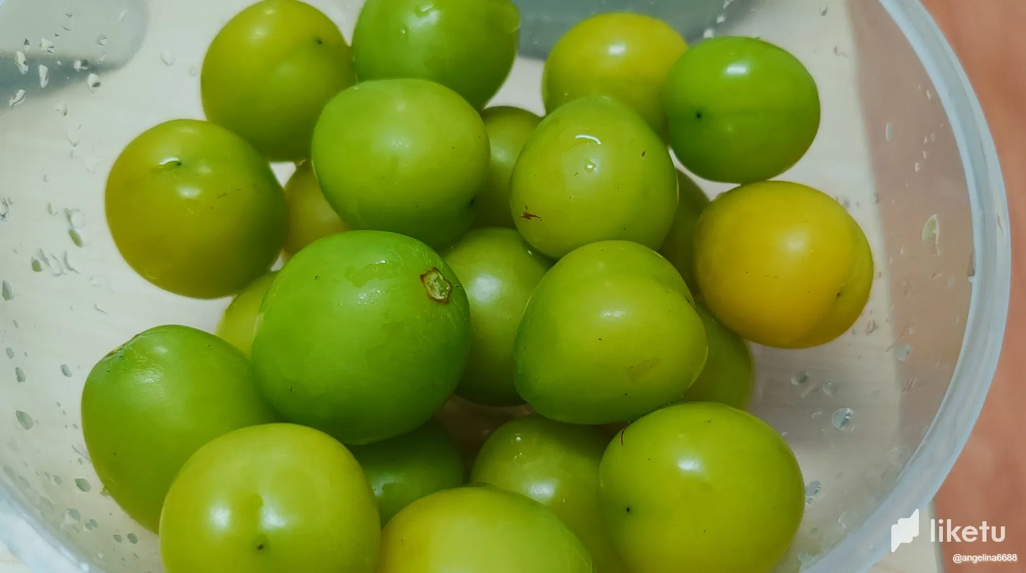 2OoPH34xWh5QEWcS__2025-08-13_095848_039.webp