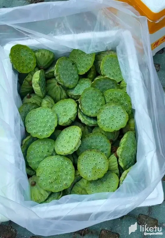 DX6RpcDud7t6Melr__2025-08-12_105636_073.webp
