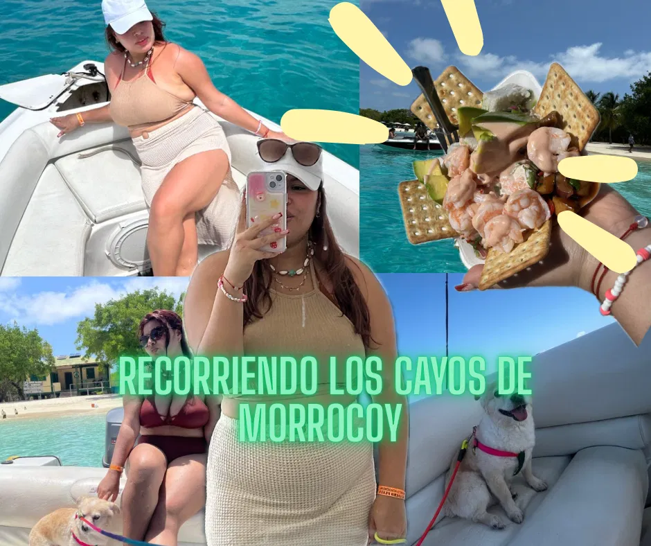 h349xaAydOfVG6sr_VIAJE_con_amigos.png