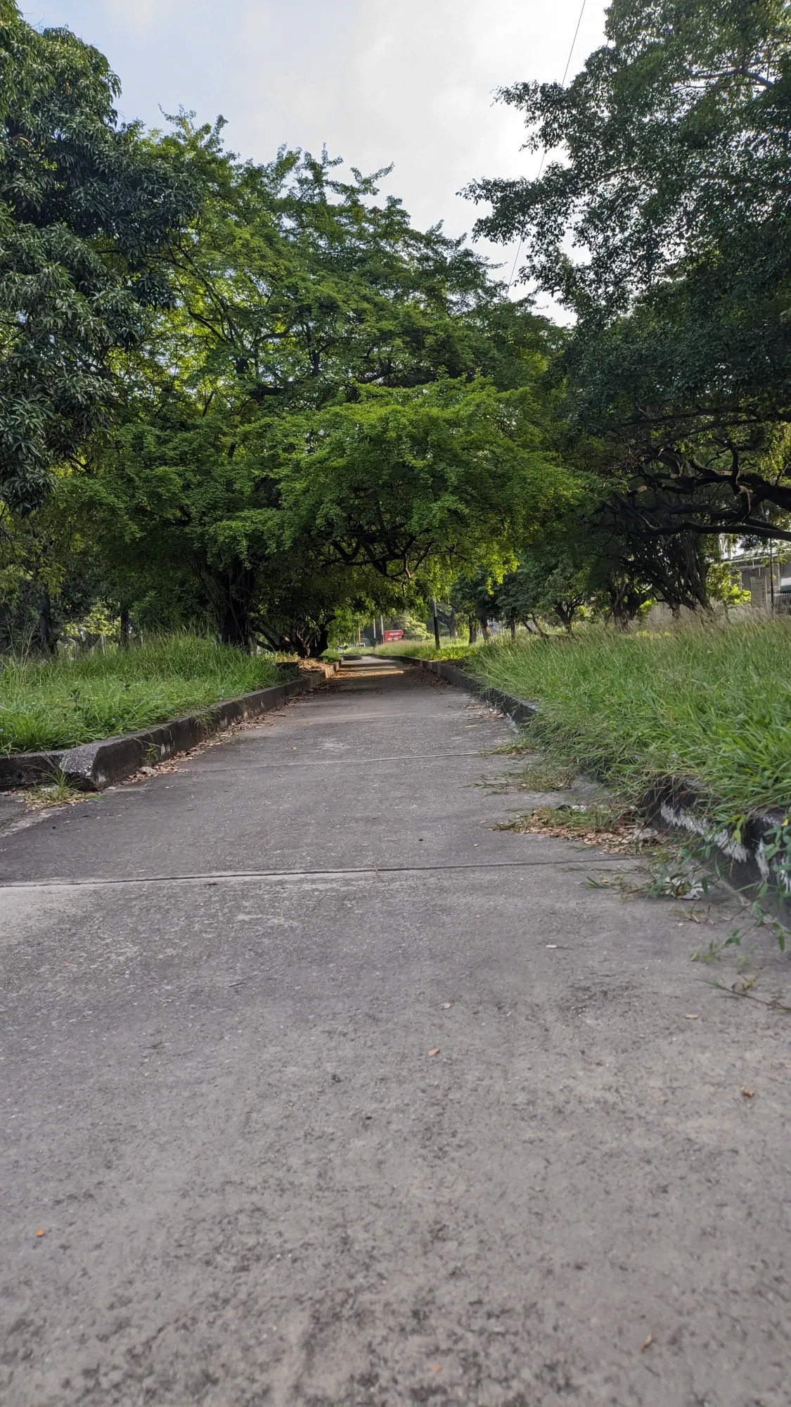 o1qNPxzMJ69Cohq5_1001112453.webp