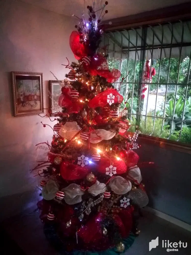 clpd6jii9028xe9szdrfo72z7_WhatsApp_Image_2021-12-05_at_10.22.28_AM.webp