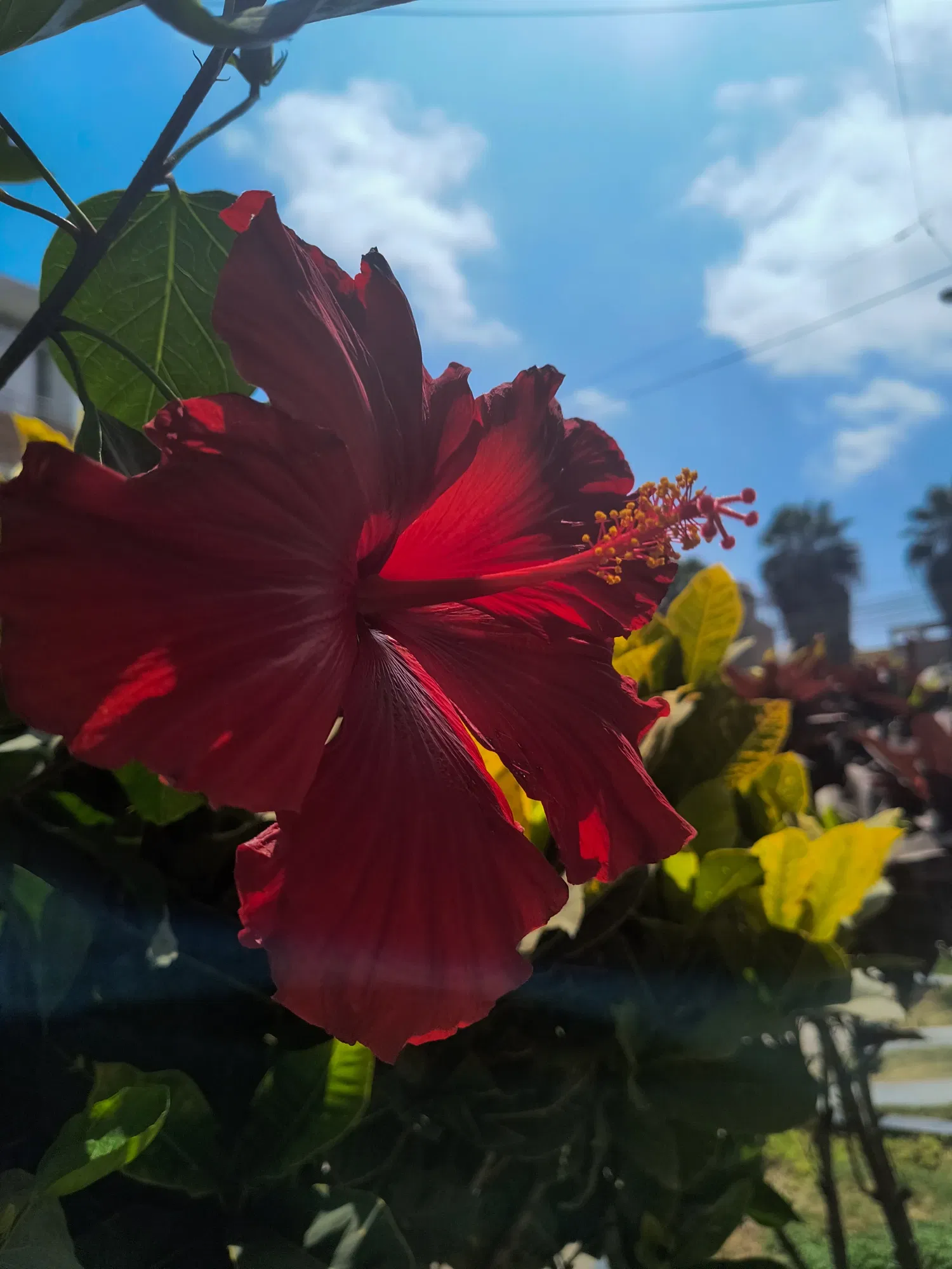 2eSR02XhmEkSo6uR_1000217437.webp