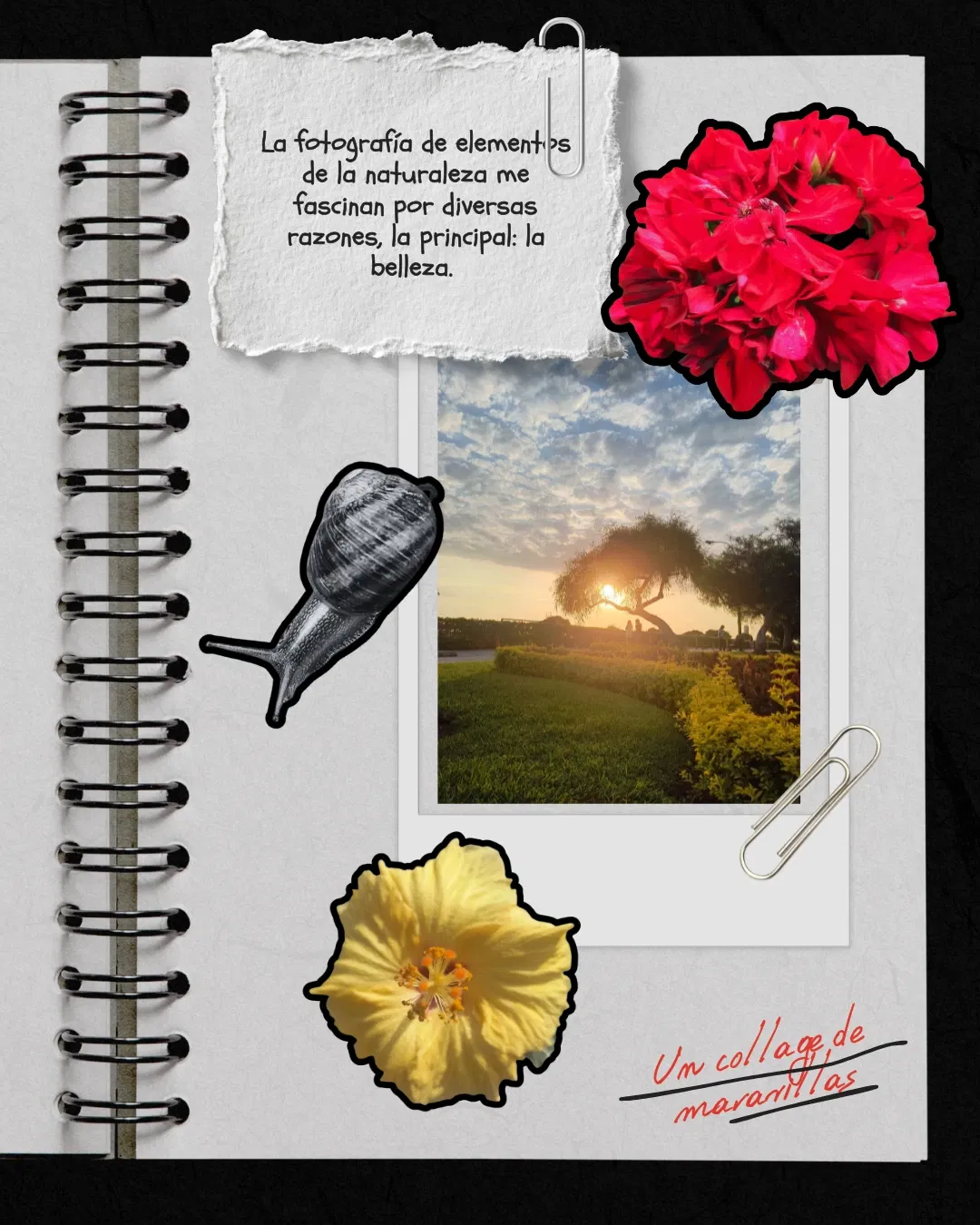 G6pen8aJZBJanpl0_3.webp
