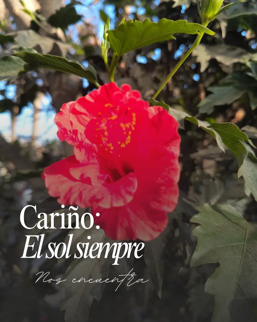 Un invierno diferente 🫂[Esp/Eng]