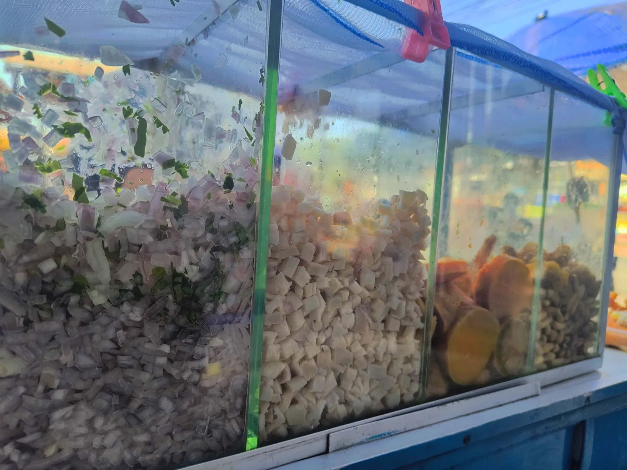 XKKs1CAWc5LYRynq_1000192211.webp