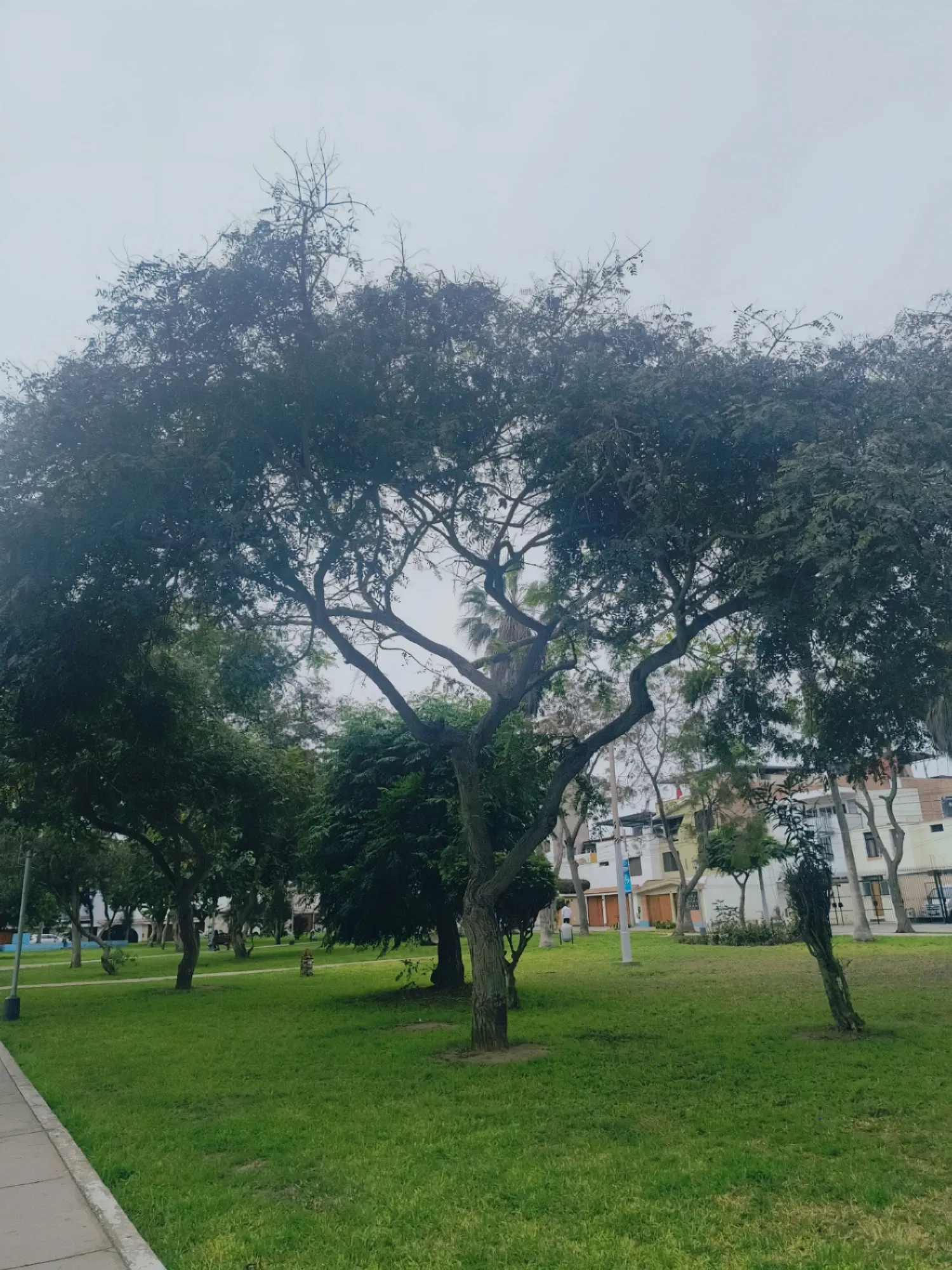 Photos dump [Esp/Eng]