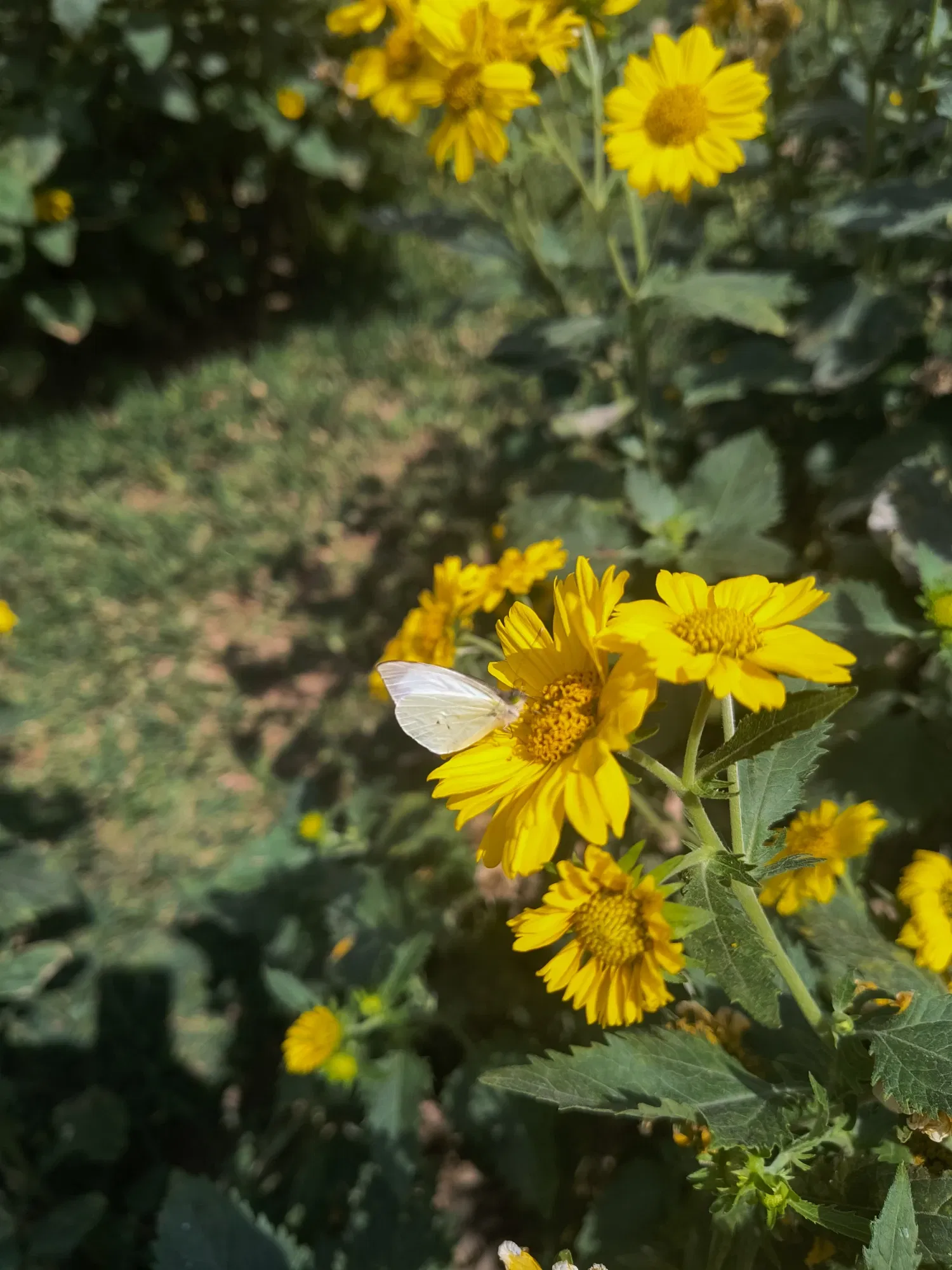 rBWnYmRcMCkcTwaZ_1000217440.webp