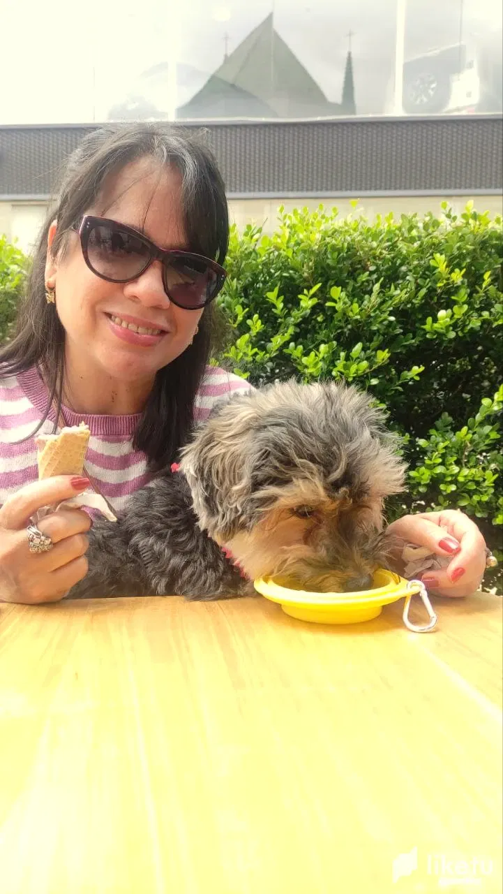7CnOjFG6Lh1oyT3X_photo_2025-04-20_17-09-57.webp
