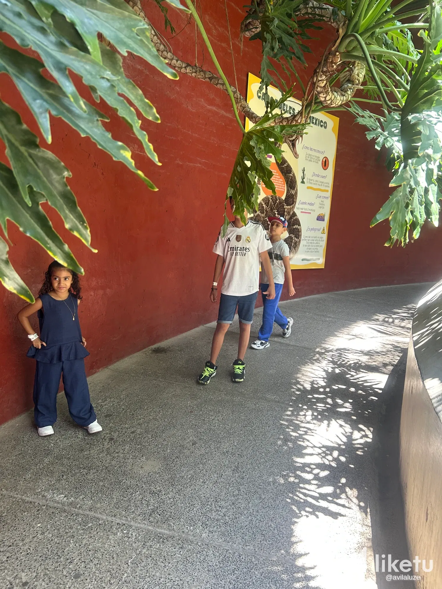 UqXdA2myk4t2ozyd_IMG_2562.webp