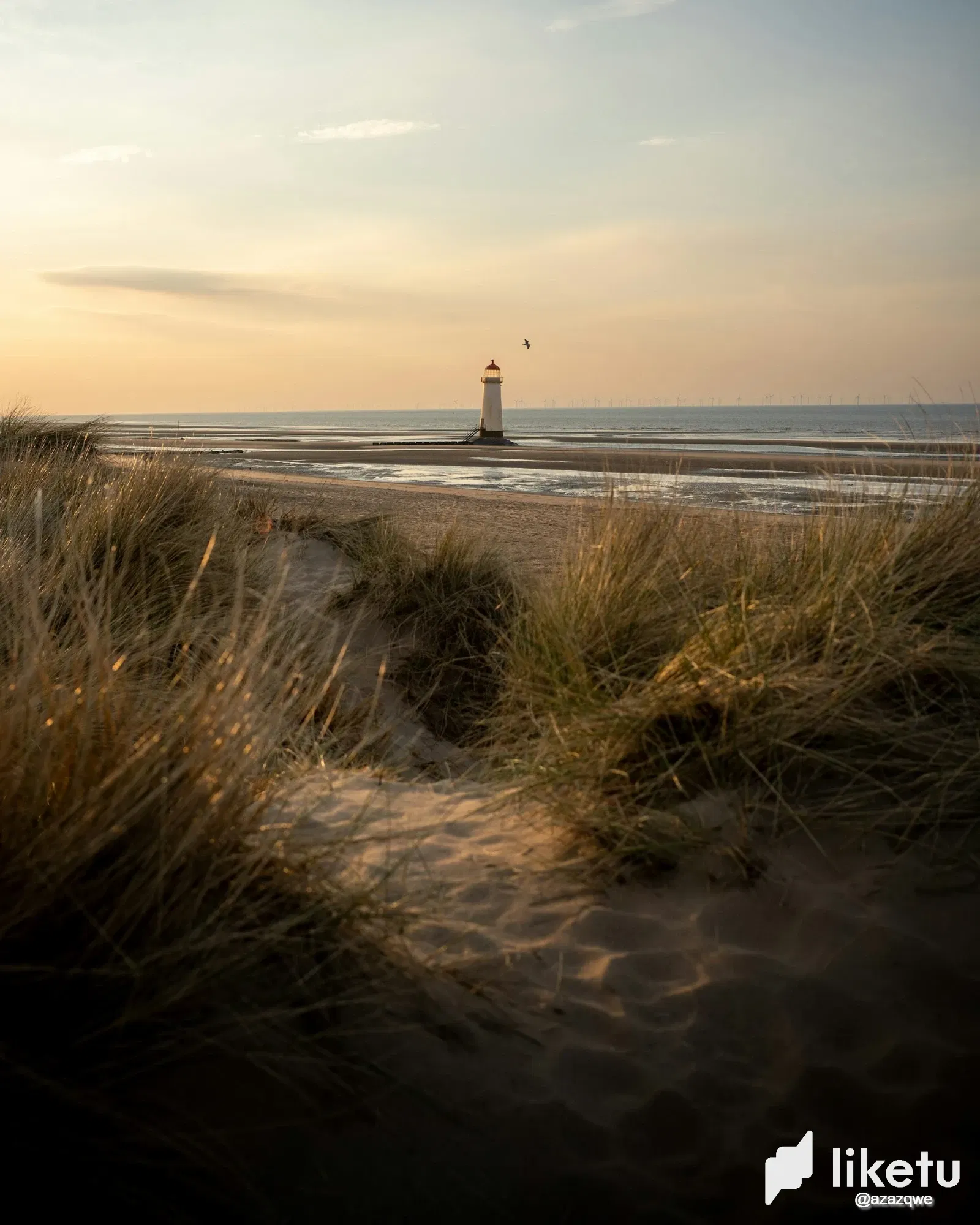TIb5wwUX2F2Z0loe_nathan-field-VNEdXABnrYI-unsplash.webp
