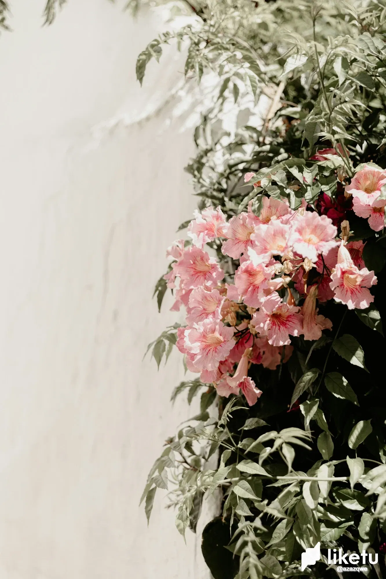 nbVaV7QWBDJS61XS_ellie-ellien-K1uednL28sQ-unsplash.webp/