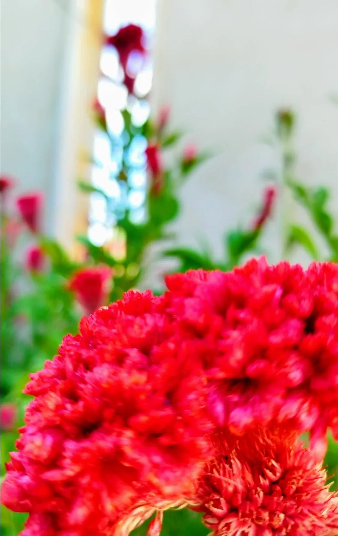 5wSI1EzMOPmO3yv1_1000410928.webp
