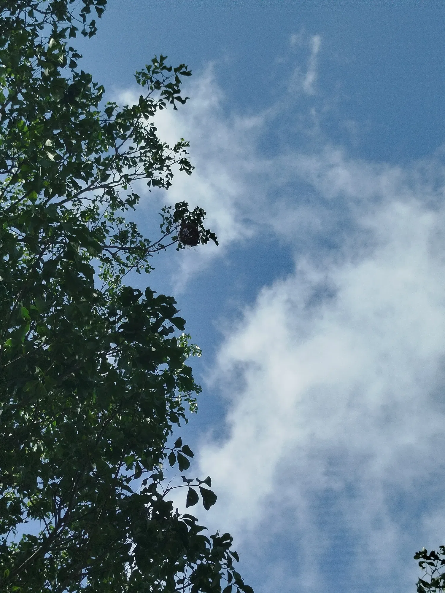 BaurryDjQTrmbdsq_1000403370.webp