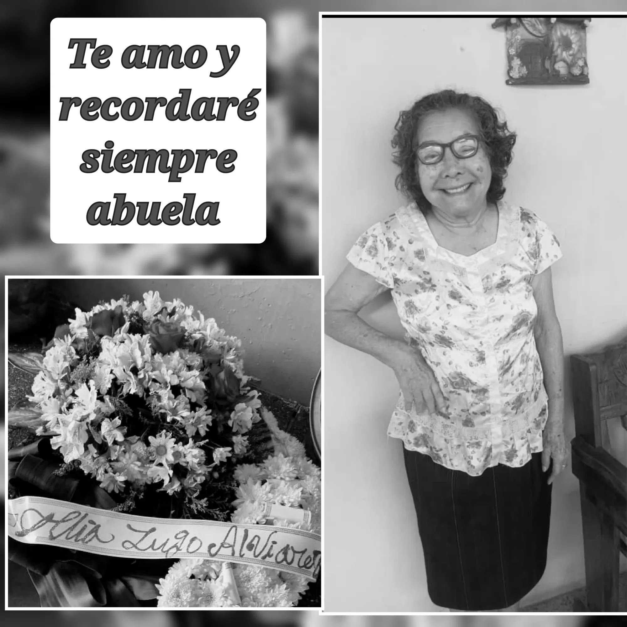 KLbpRhok75CE7JFi…
Payout: 0.000 HBDADIOS ABUELA
2025-09-16 12:55<liketuimages> <center> ![W8Dx9hK6SaOPpiII_1000520581.webp