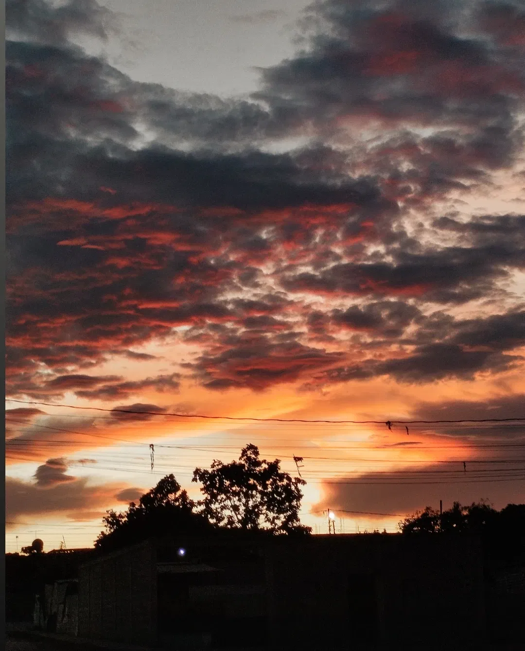 l2Wr46xZKLdnchwd_1000547247.webp