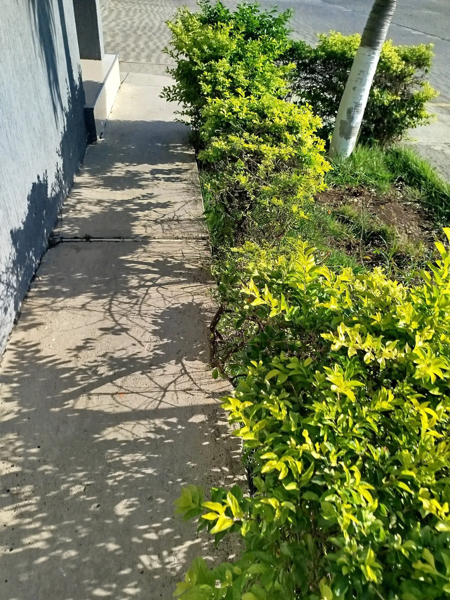 sCjvqz6ExR8TkKcZ_1000544603.webp